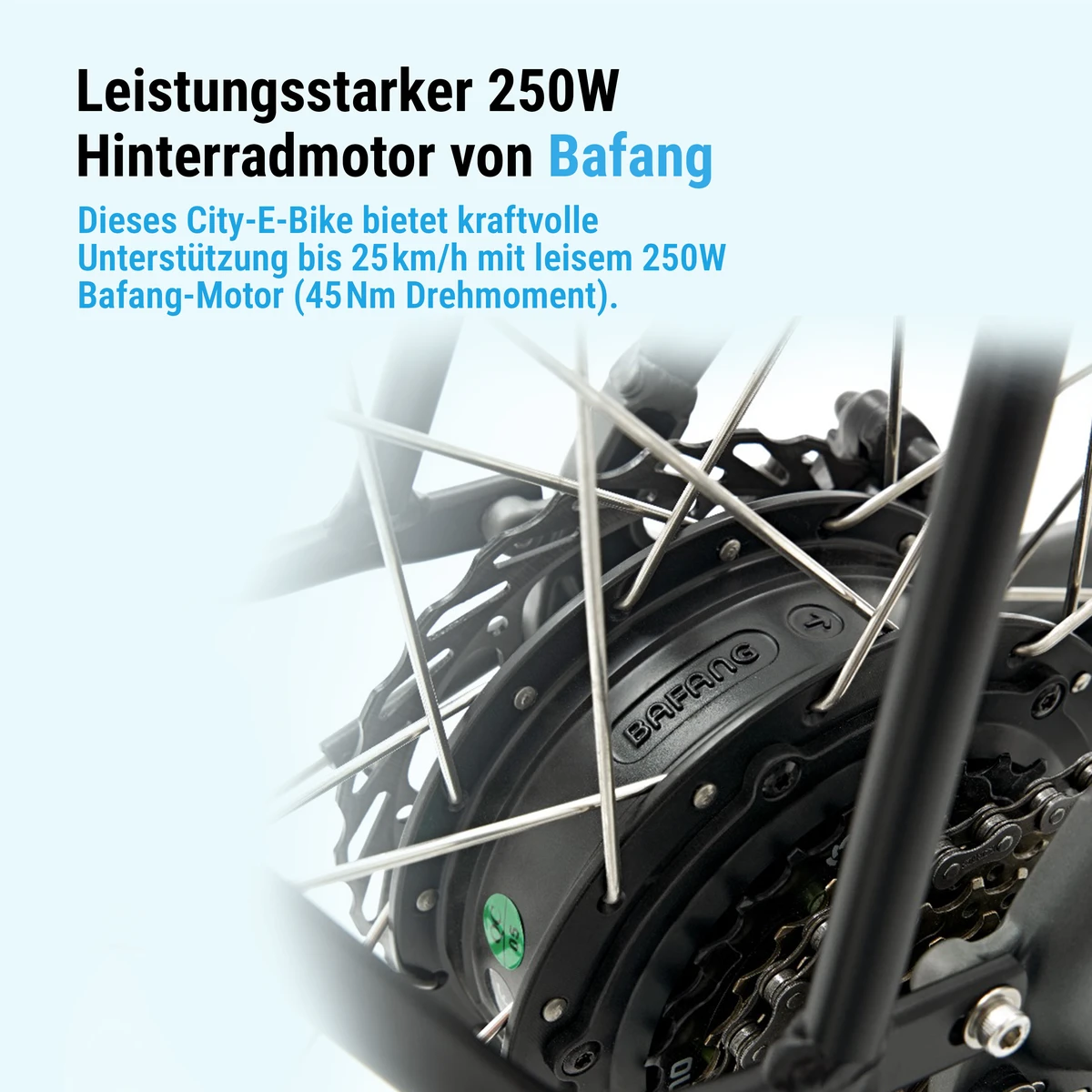 250 W Bafang Hinterradmotor