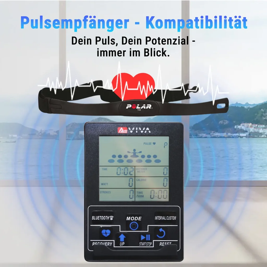 wasser-rudergeraet-asviva-ra18-pro-pulsempfaenger.webp