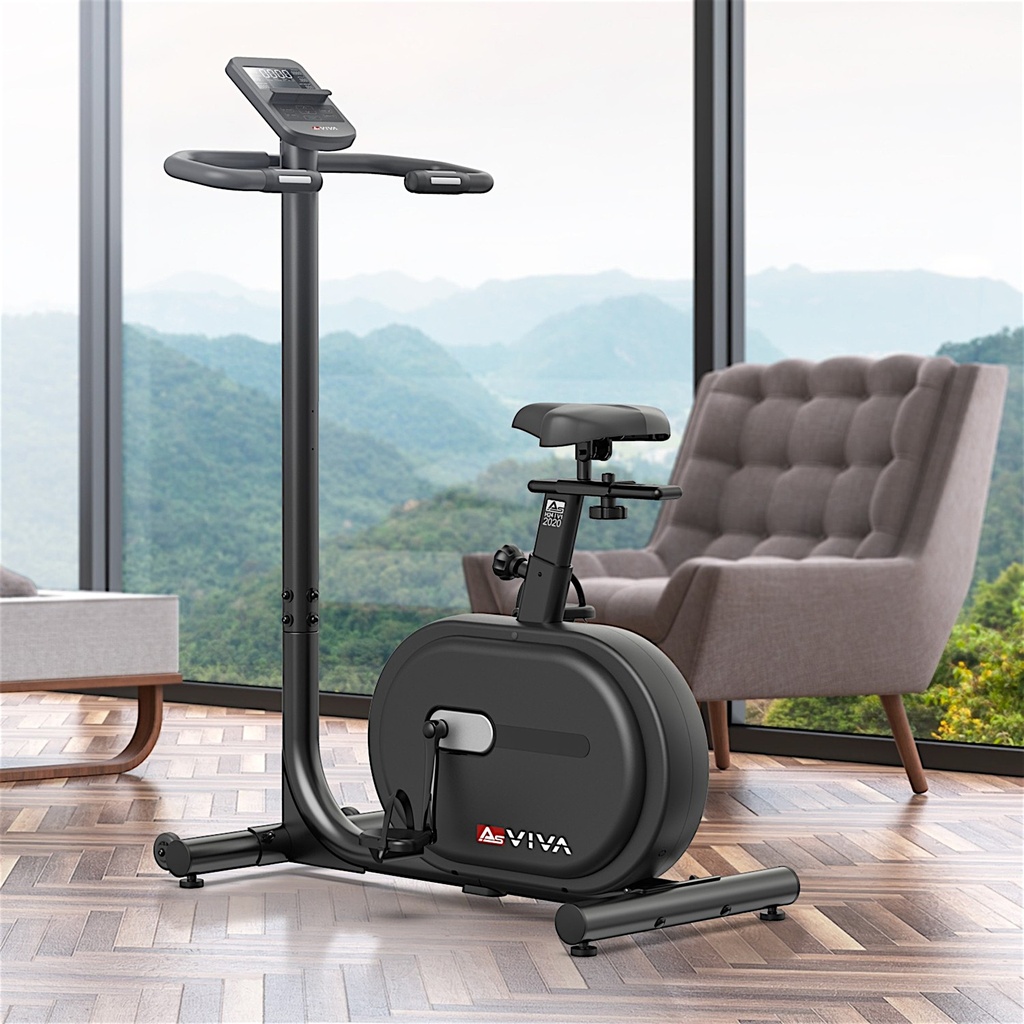 heimtrainer-ergometer-asviva-h24-model.jpg